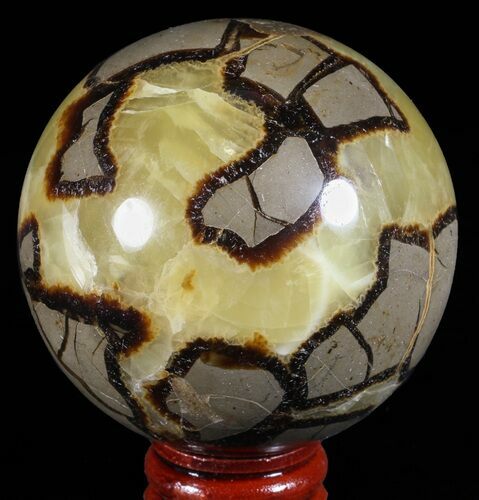 Polished Septarian Sphere - Madagascar #60526